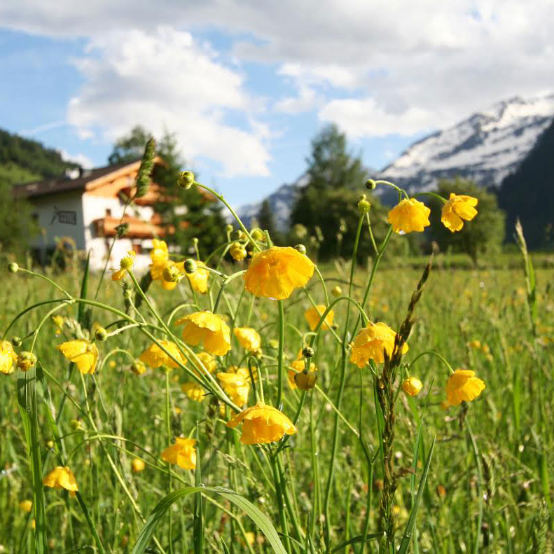 __proefhotel-op-de-berghut_vierkant